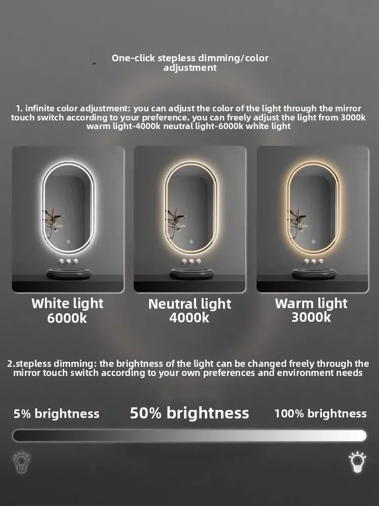 SmartMirror Oval – LED Defogging Bathroom Vanity & Full Body Wall Mirror