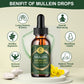 MulleinLung Drops – Lung Cleanse & Respiratory Support Extract (30ml)