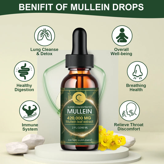 MulleinLung Drops – Lung Cleanse & Respiratory Support Extract (30ml)