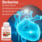 BerberinePlus 2000mg – Cardiovascular & Digestive Health (60 Capsules)