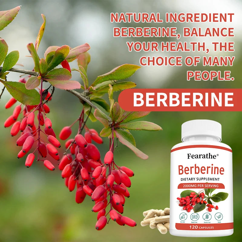 BerberinePlus 2000mg – Cardiovascular & Digestive Health (60 Capsules)
