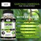 GarciniaSlim – Garcinia Cambogia Weight Loss & Fat Burn Capsules